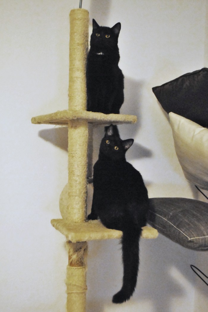 DSC_0809 Pipi in Melkiad preh odhodom