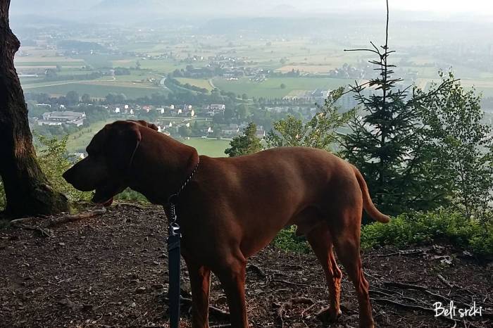 20160625_065834 poldi