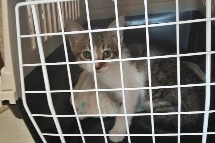 14188557_546845598840384_983164164009810997_o