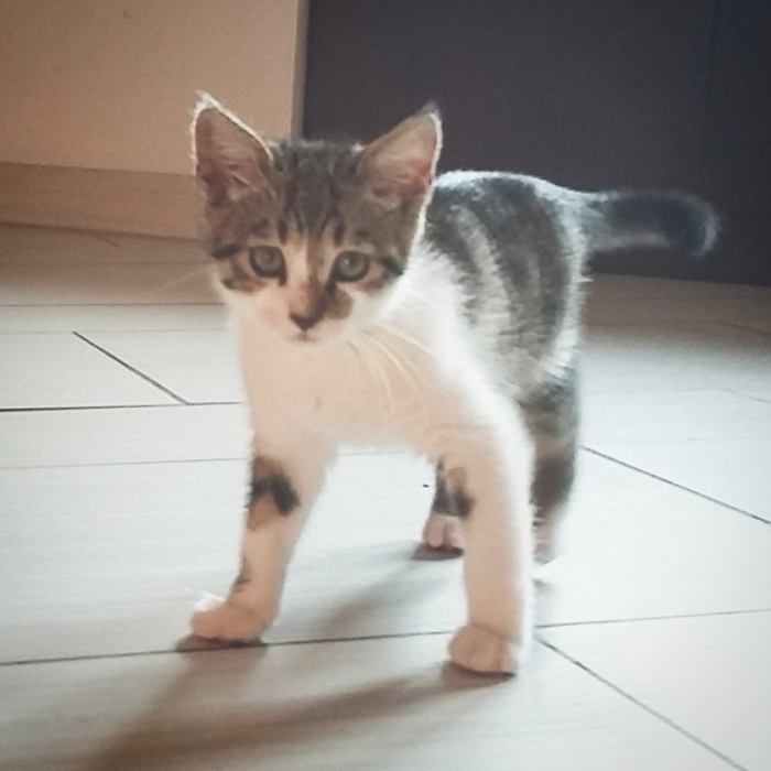 14291905_549596461898631_3714994598019750213_n