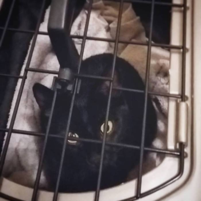 14716218_571011916423752_8565533255577486256_n