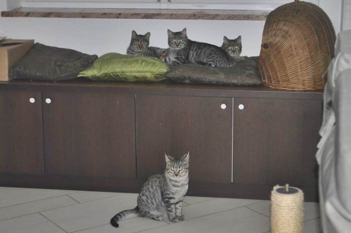 _dsc0123-riseki-prvi-dan-18112016